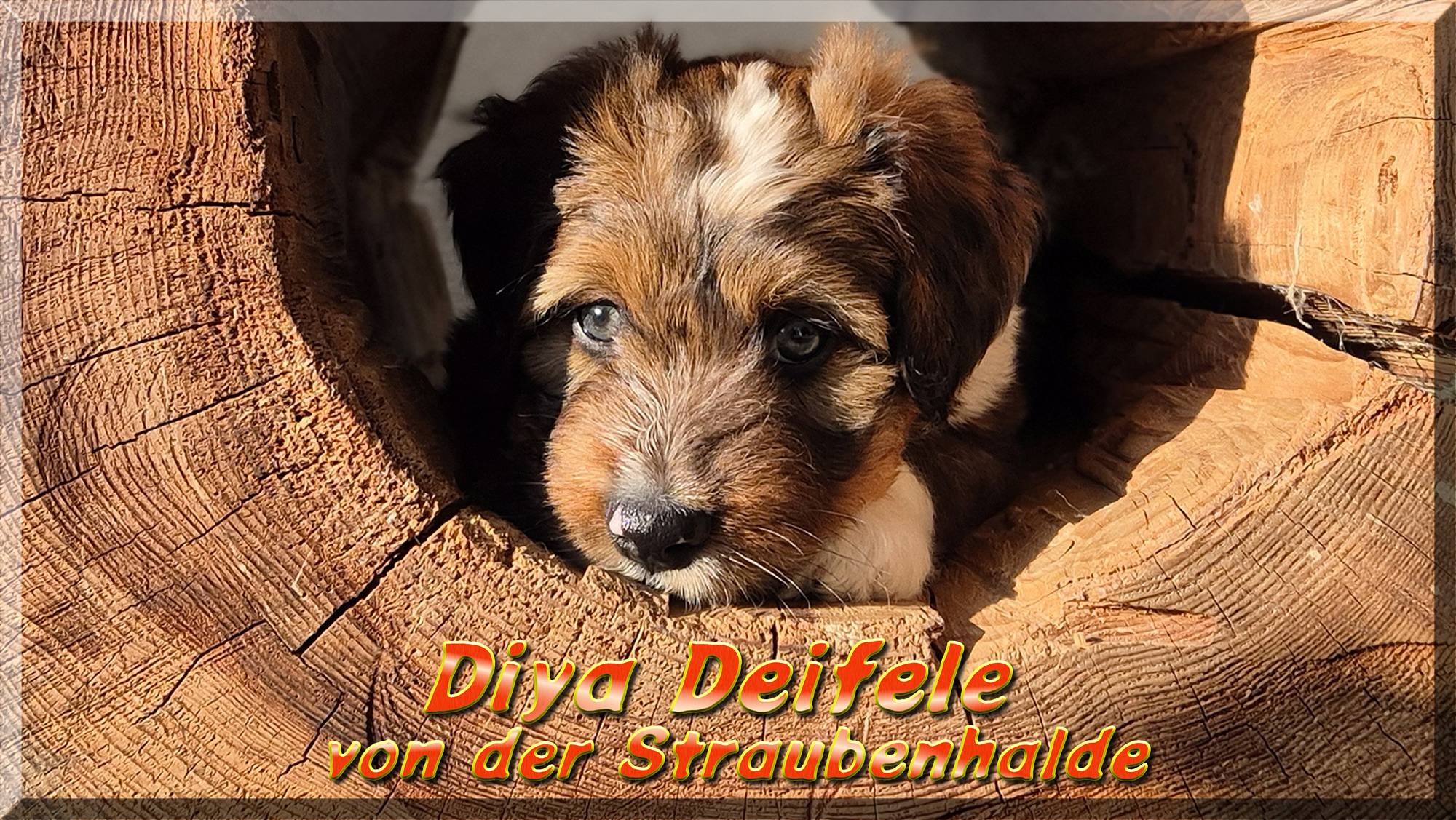 Diya Deifele von der Straubenhalde